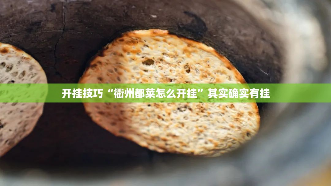 开挂技巧“衢州都莱怎么开挂”其实确实有挂