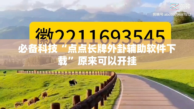 必备科技“点点长牌外卦辅助软件下载”原来可以开挂
