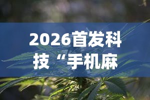 2026首发科技“手机麻将外卦神器通用版v2.0.0.	”(辅助神器)开挂详细教程