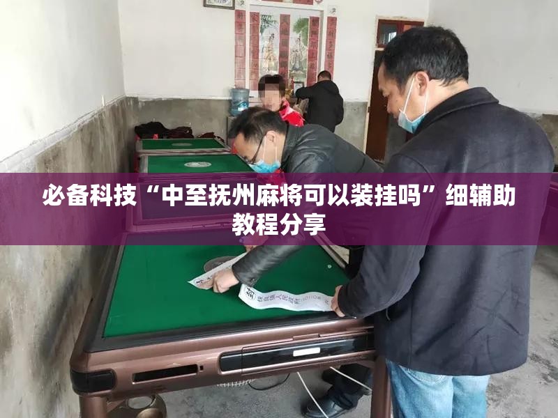 必备科技“中至抚州麻将可以装挂吗”细辅助教程分享