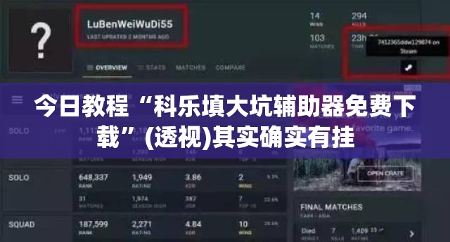 今日教程“科乐填大坑辅助器免费下载”(透视)其实确实有挂