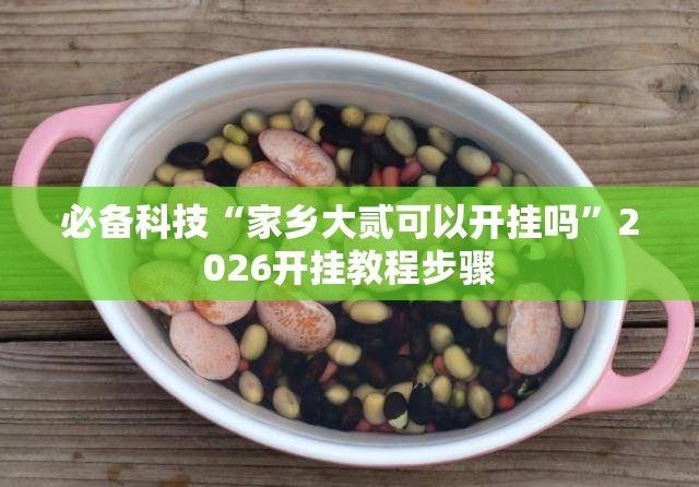必备科技“家乡大贰可以开挂吗”2026开挂教程步骤