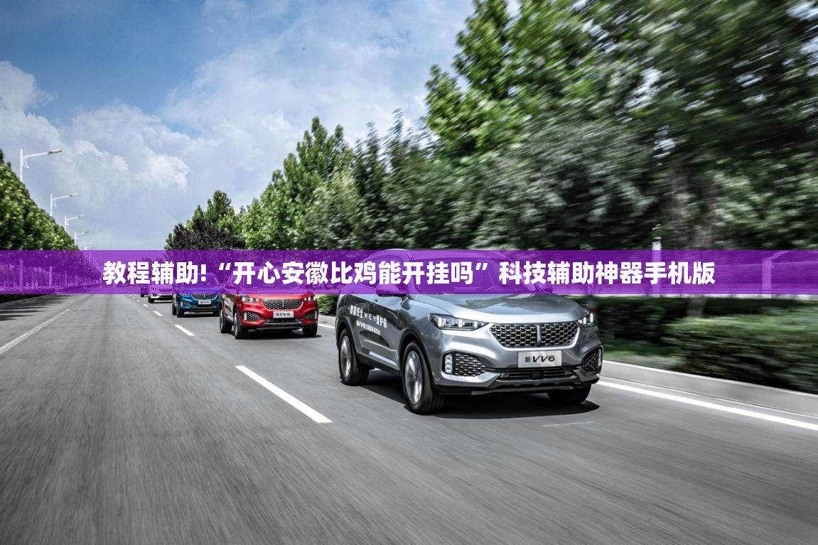 教程辅助!“开心安徽比鸡能开挂吗”科技辅助神器手机版