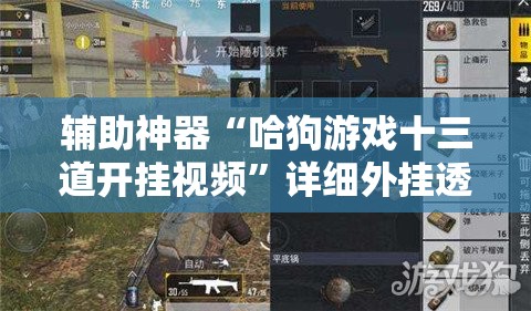 辅助神器“哈狗游戏十三道开挂视频	”详细外挂透视辅助软件教程