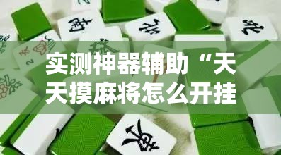 实测神器辅助“天天摸麻将怎么开挂”详细分享装挂步骤