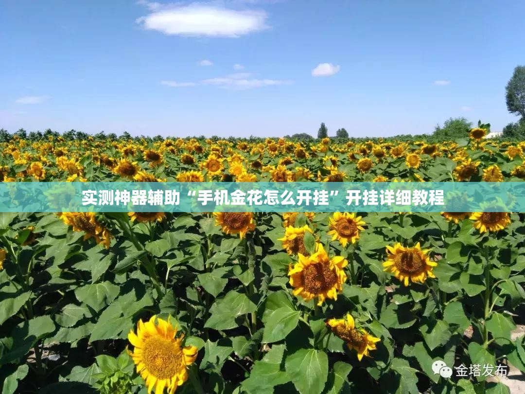 实测神器辅助“手机金花怎么开挂”开挂详细教程