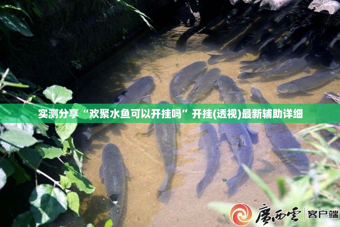 实测分享“欢聚水鱼可以开挂吗”开挂(透视)最新辅助详细