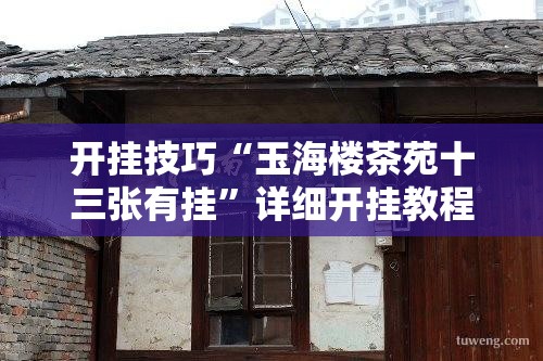 开挂技巧“玉海楼茶苑十三张有挂”详细开挂教程