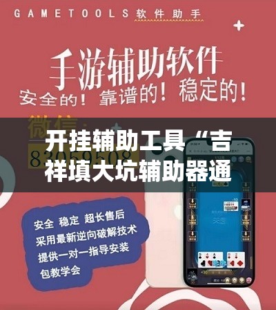 开挂辅助工具“吉祥填大坑辅助器通用版”开挂(透视)最新辅助详细