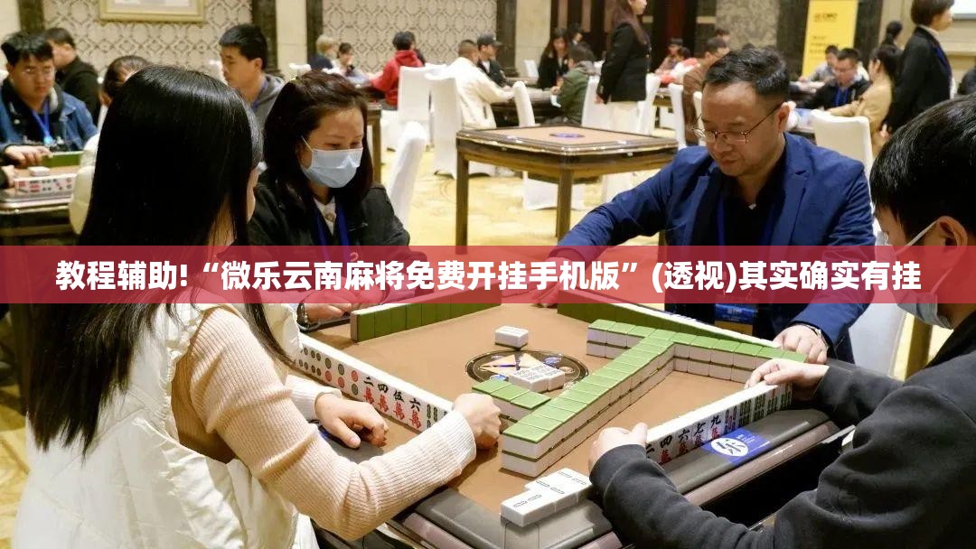 教程辅助!“微乐云南麻将免费开挂手机版”(透视)其实确实有挂