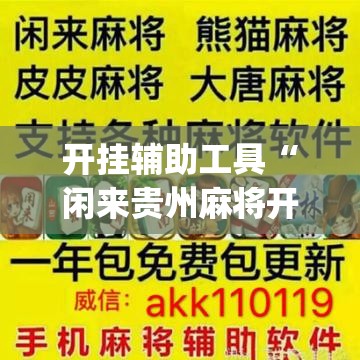 开挂辅助工具“闲来贵州麻将开挂辅助器通用版”开挂(透视)辅助教程