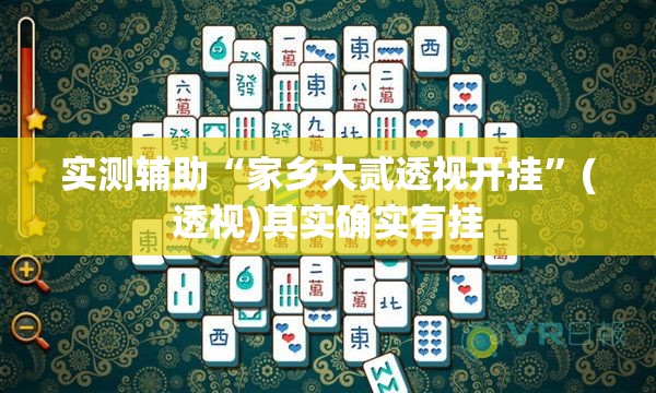 实测辅助“家乡大贰透视开挂”(透视)其实确实有挂