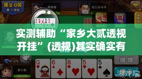 实测辅助“家乡大贰透视开挂	”(透视)其实确实有挂