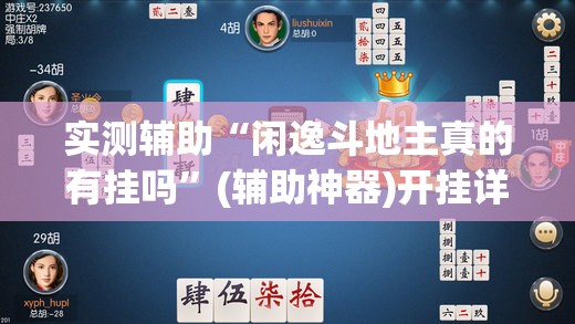 实测辅助“闲逸斗地主真的有挂吗”(辅助神器)开挂详细教程