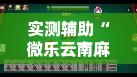 实测辅助“微乐云南麻将小程序怎么才会赢	”详细外挂透视辅助软件教程