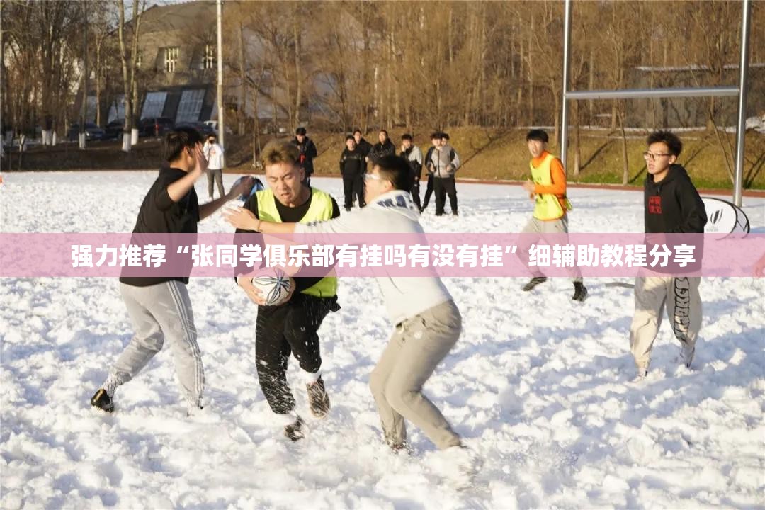 强力推荐“张同学俱乐部有挂吗有没有挂	”细辅助教程分享