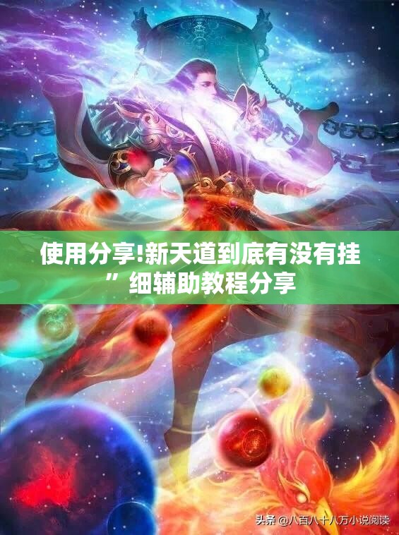 使用分享!新天道到底有没有挂”细辅助教程分享