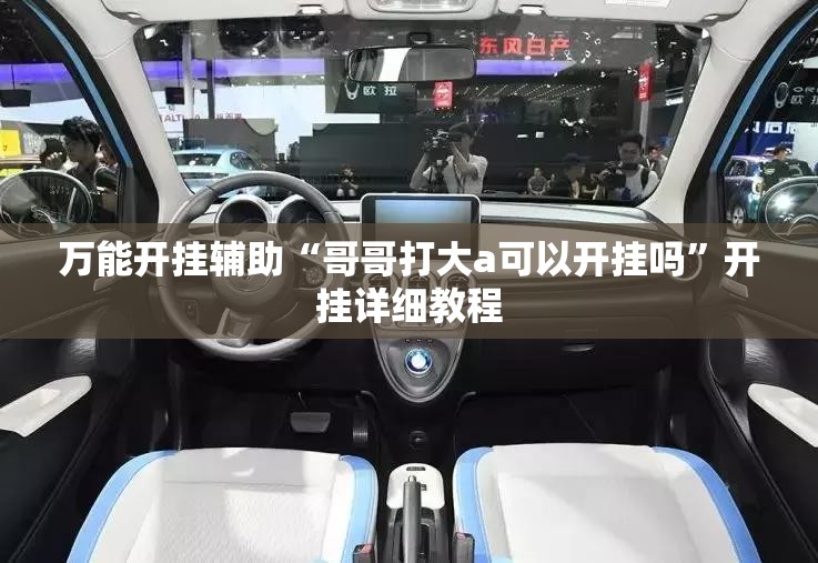 万能开挂辅助“哥哥打大a可以开挂吗”开挂详细教程
