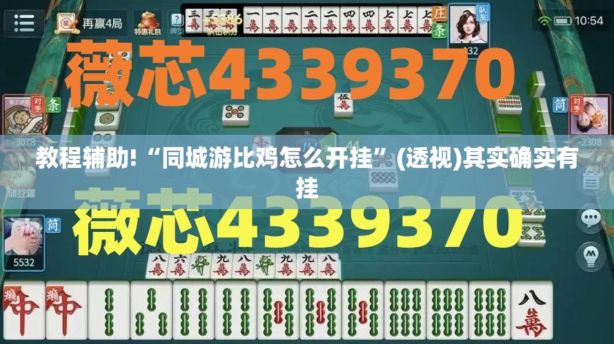 教程辅助!“同城游比鸡怎么开挂	”(透视)其实确实有挂