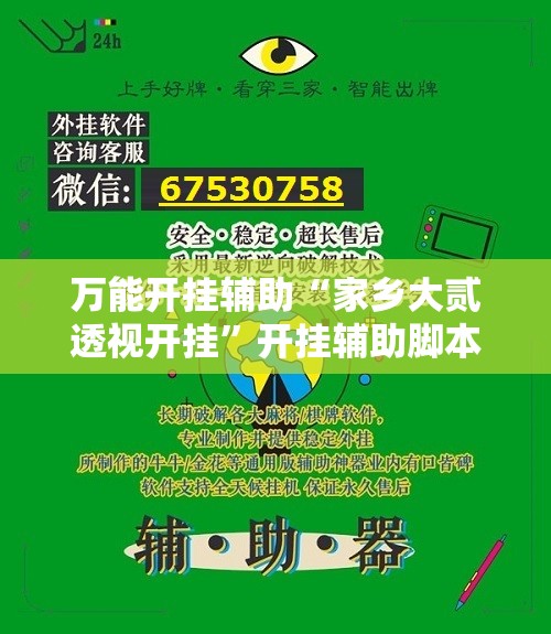 万能开挂辅助“家乡大贰透视开挂”开挂辅助脚本+详细开挂安装教程