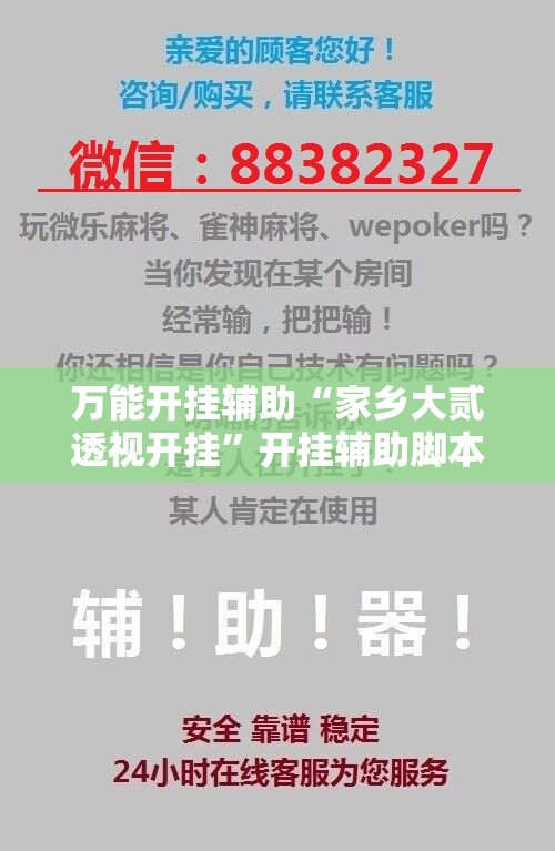 万能开挂辅助“家乡大贰透视开挂”开挂辅助脚本+详细开挂安装教程