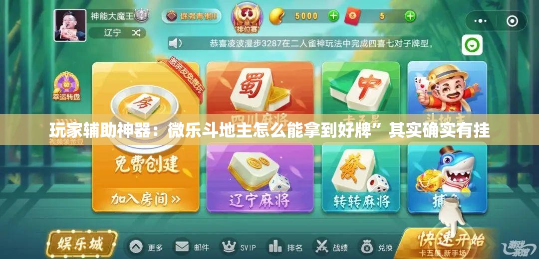 玩家辅助神器：微乐斗地主怎么能拿到好牌”其实确实有挂