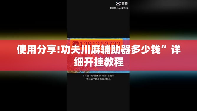 使用分享!功夫川麻辅助器多少钱”详细开挂教程