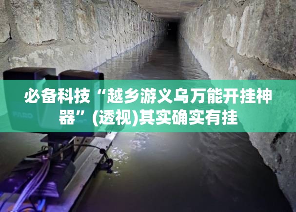 必备科技“越乡游义乌万能开挂神器	”(透视)其实确实有挂