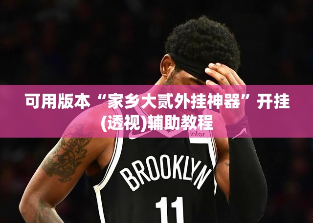 可用版本“家乡大贰外挂神器”开挂(透视)辅助教程