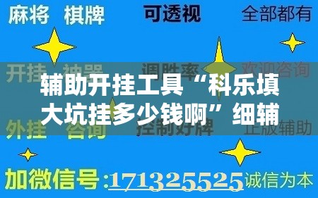 辅助开挂工具“科乐填大坑挂多少钱啊”细辅助教程分享