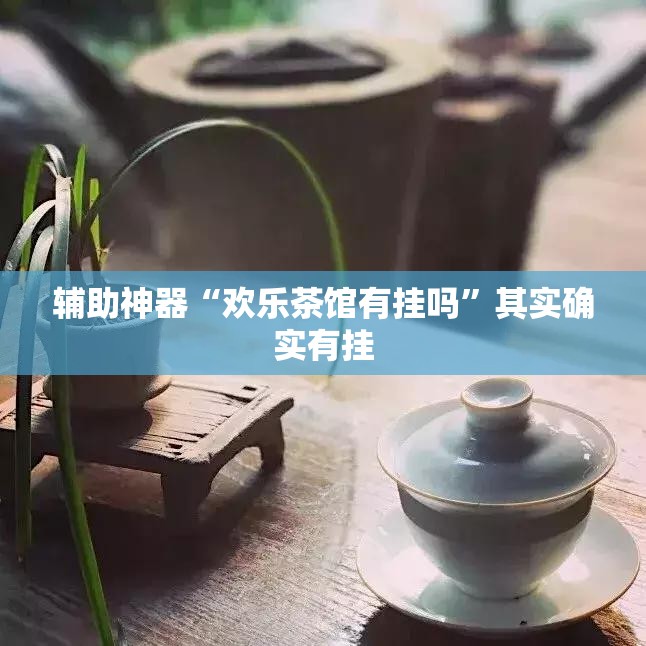 辅助神器“欢乐茶馆有挂吗”其实确实有挂