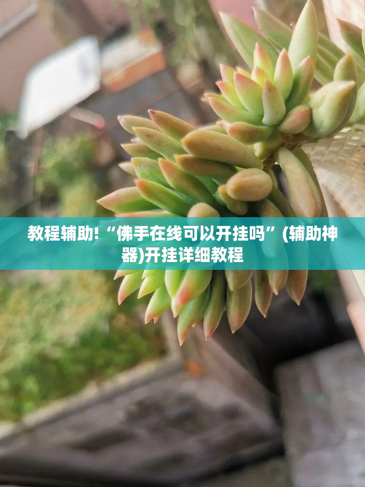 教程辅助!“佛手在线可以开挂吗”(辅助神器)开挂详细教程