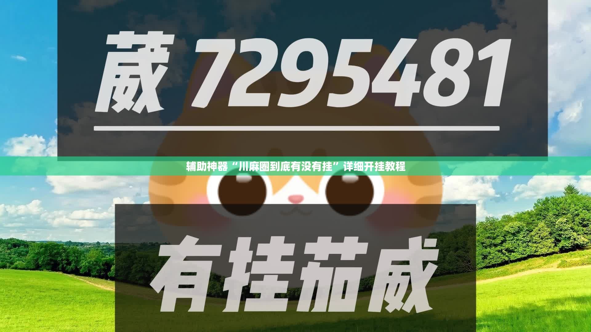 辅助神器“川麻圈到底有没有挂”详细开挂教程