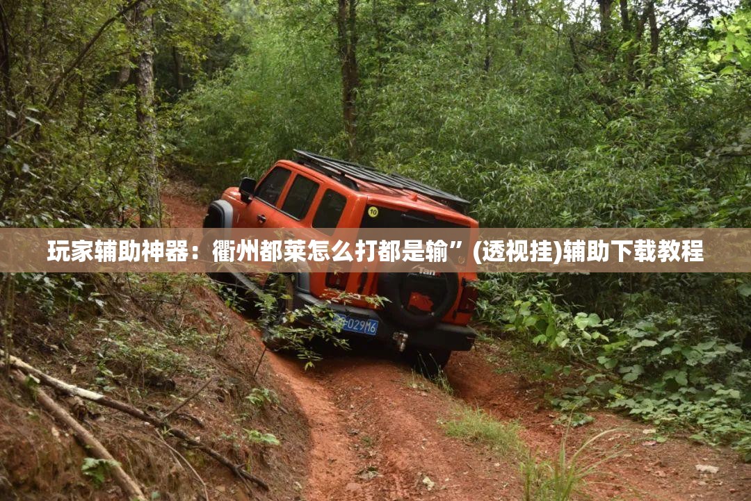 玩家辅助神器：衢州都莱怎么打都是输”(透视挂)辅助下载教程