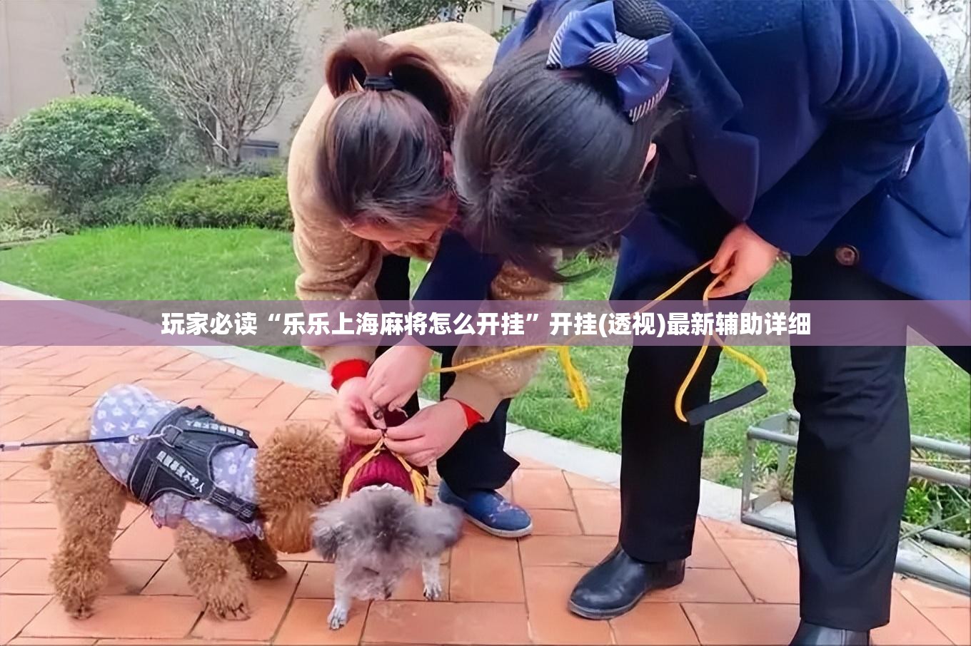 玩家必读“乐乐上海麻将怎么开挂”开挂(透视)最新辅助详细
