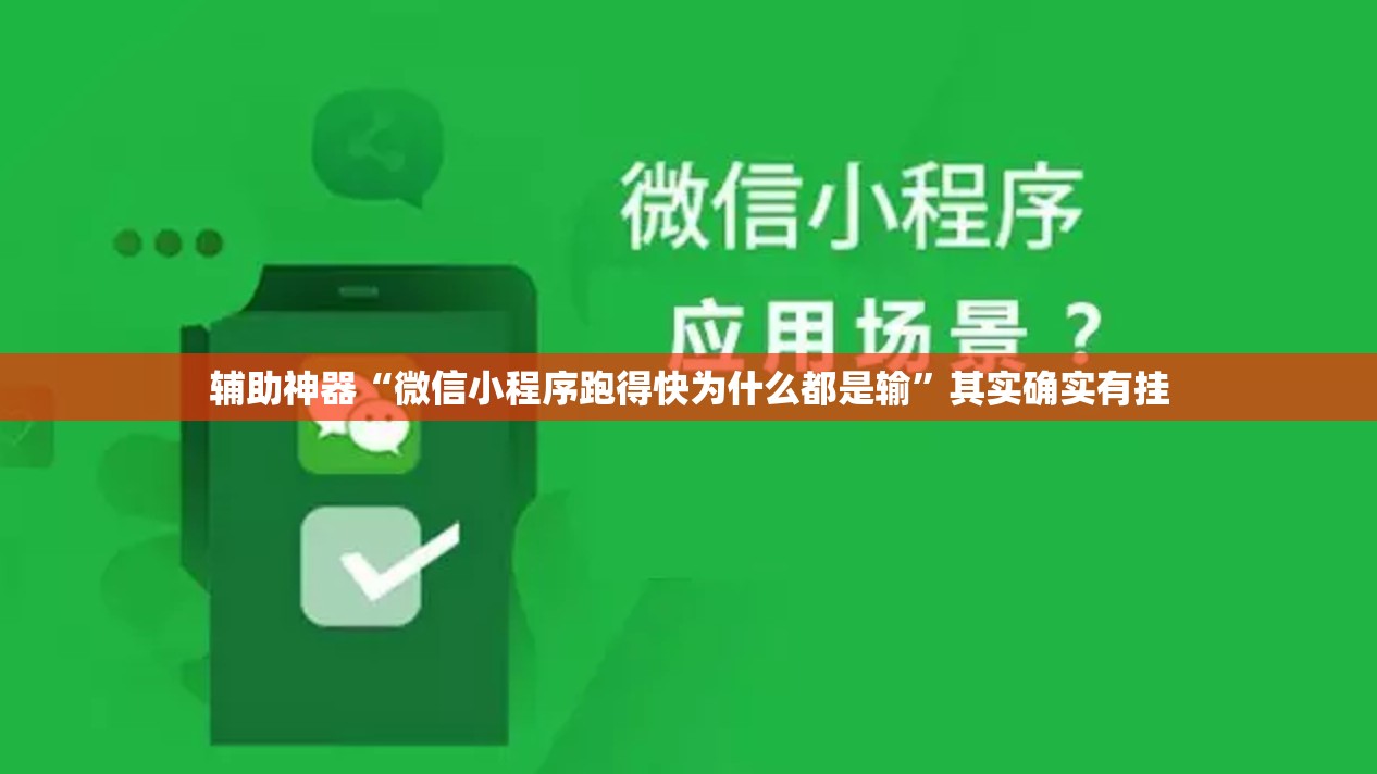 辅助神器“微信小程序跑得快为什么都是输	”其实确实有挂