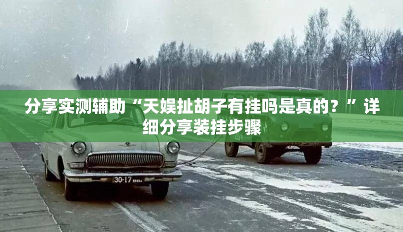 分享实测辅助“天娱扯胡子有挂吗是真的？	”详细分享装挂步骤
