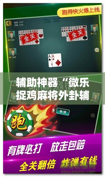 辅助神器“微乐捉鸡麻将外卦辅助软件下载”详细分享装挂步骤