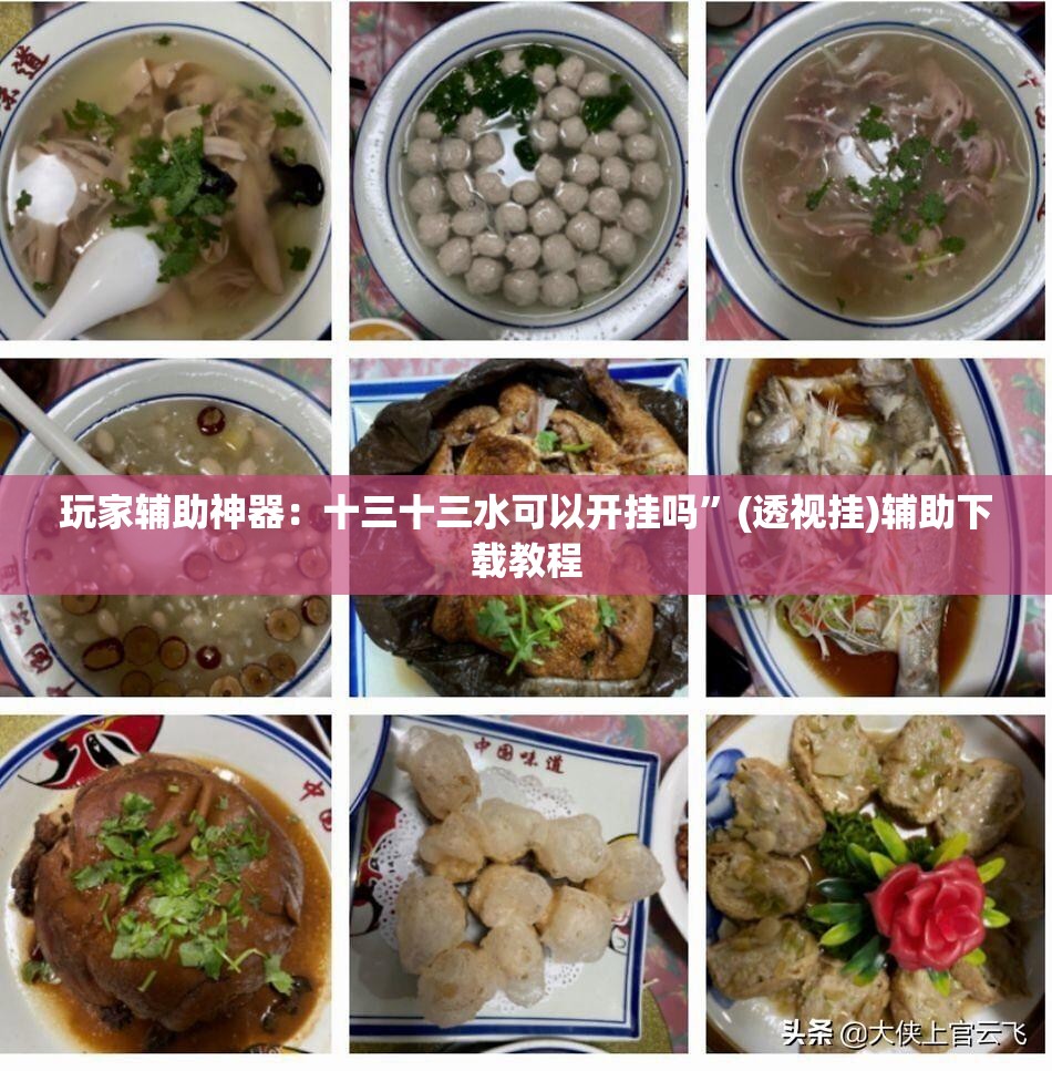 玩家辅助神器：十三十三水可以开挂吗”(透视挂)辅助下载教程