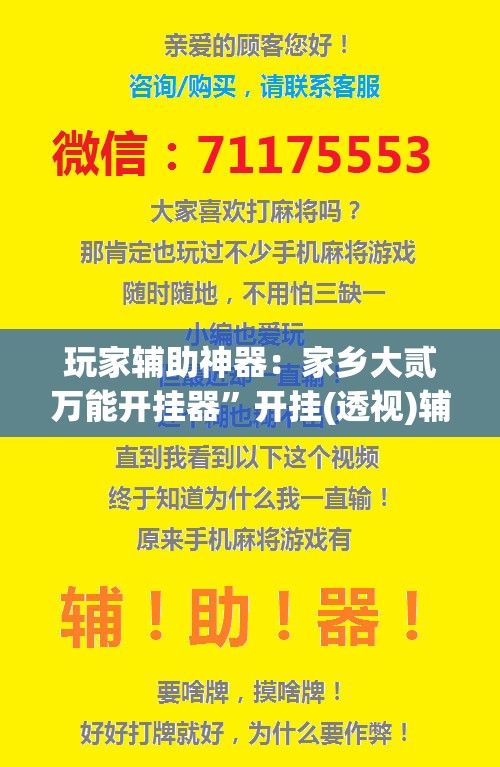 玩家辅助神器：家乡大贰万能开挂器”开挂(透视)辅助教程