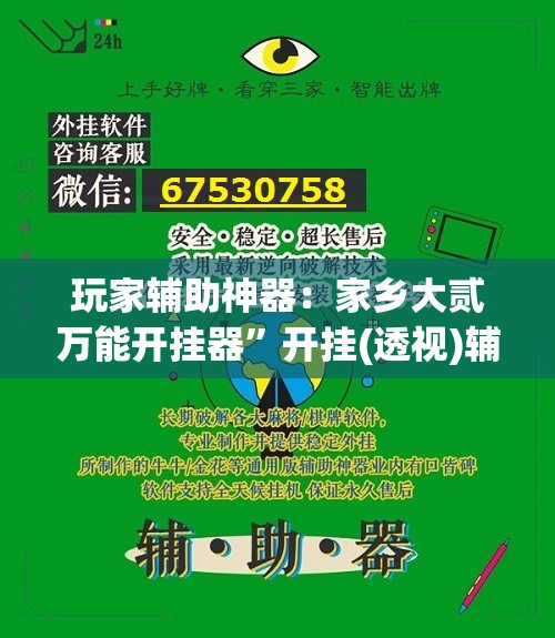 玩家辅助神器：家乡大贰万能开挂器	”开挂(透视)辅助教程