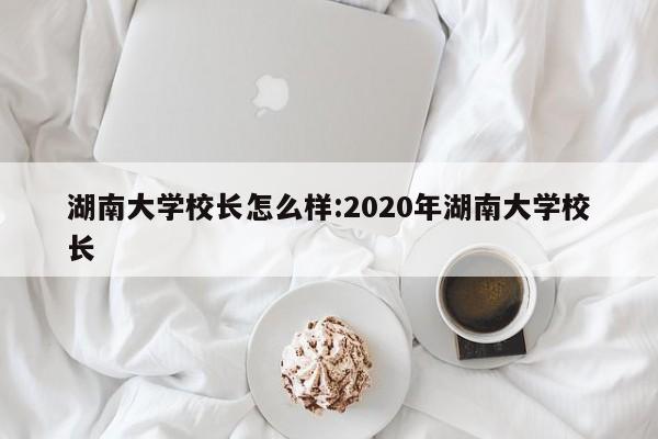 湖南大学校长怎么样:2020年湖南大学校长