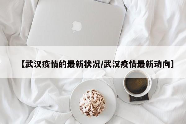 【武汉疫情的最新状况/武汉疫情最新动向】